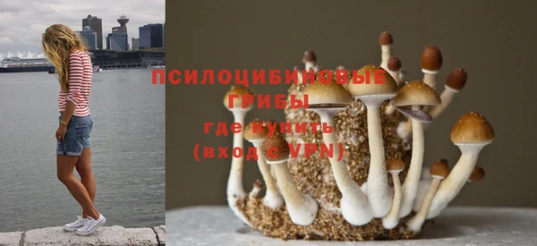 ешки Магадан