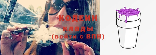 амф Липки