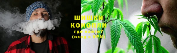 амф Липки
