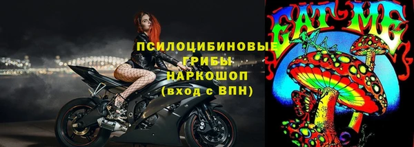 гашик Лихославль