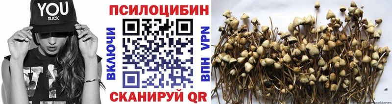 Псилоцибиновые грибы мицелий Купить где Екатеринбург